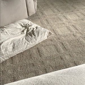 Meet your Posher, Lucy